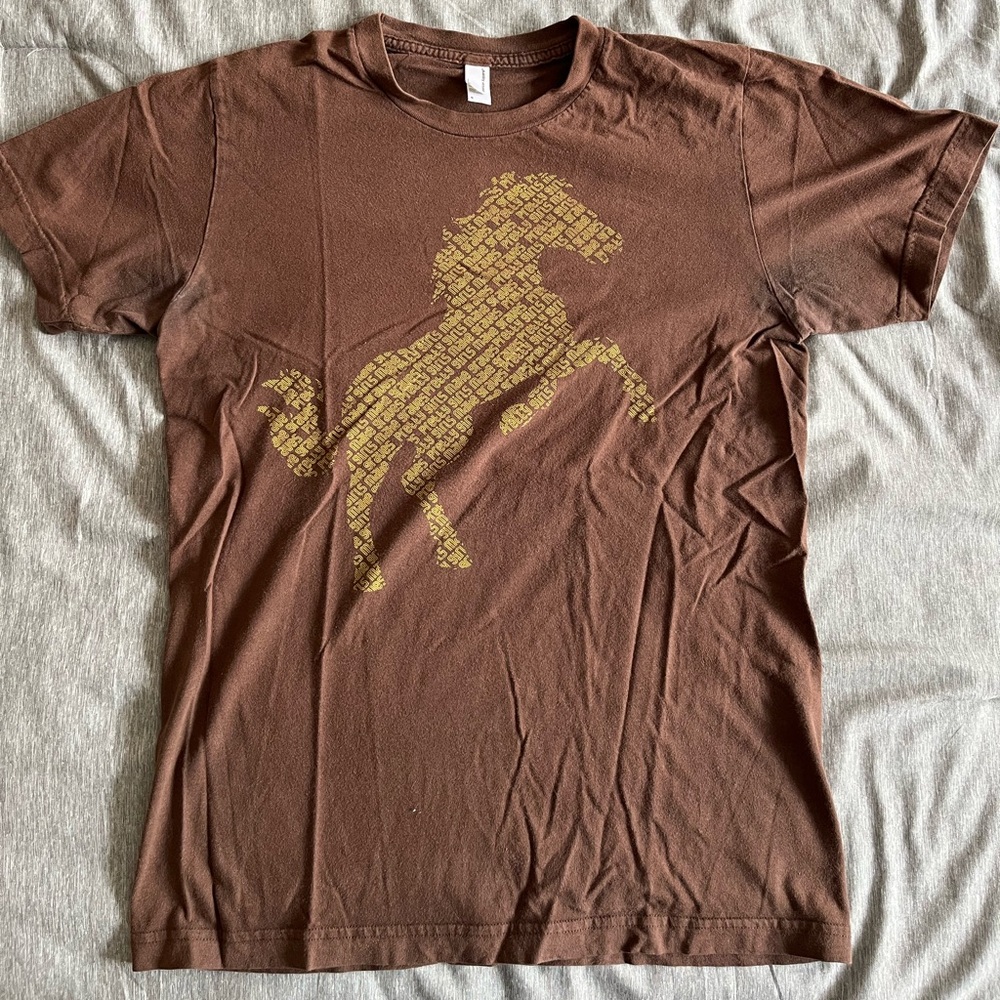 Pretty Girls Make Graves official tour band shirt on American Apparel, indie emo